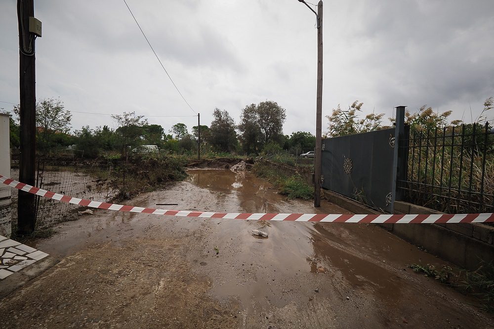 Αιχμές Λέκκα για Εύβοια: «Τώρα τρέχουμε να προλάβουμε… » –  Άλλα πρότειναν οι ειδικοί, άλλα (δεν) έκανε η κυβέρνηση (Video)