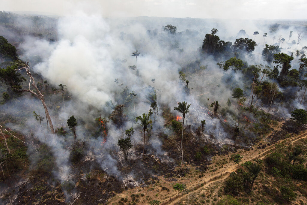 Περιβαλλοντικός κίνδυνος για τον Αμαζόνιο ο ακροδεξιός Μπολσονάρου