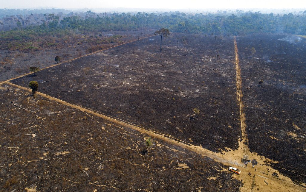 Βραζιλία: Με ταχύτερους ρυθμούς η καταστροφή του τροπικού δάσους του Αμαζονίου