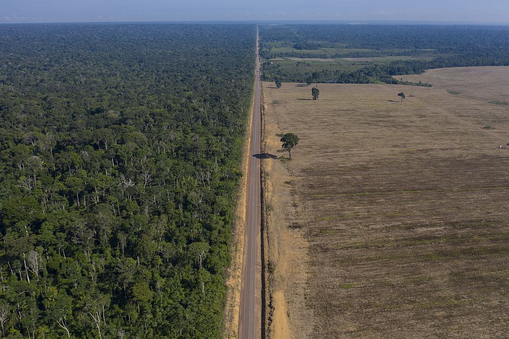 Ο Αμαζόνιος χάνεται με ρυθμούς ρεκόρ με ευθύνη Μπολσονάρο