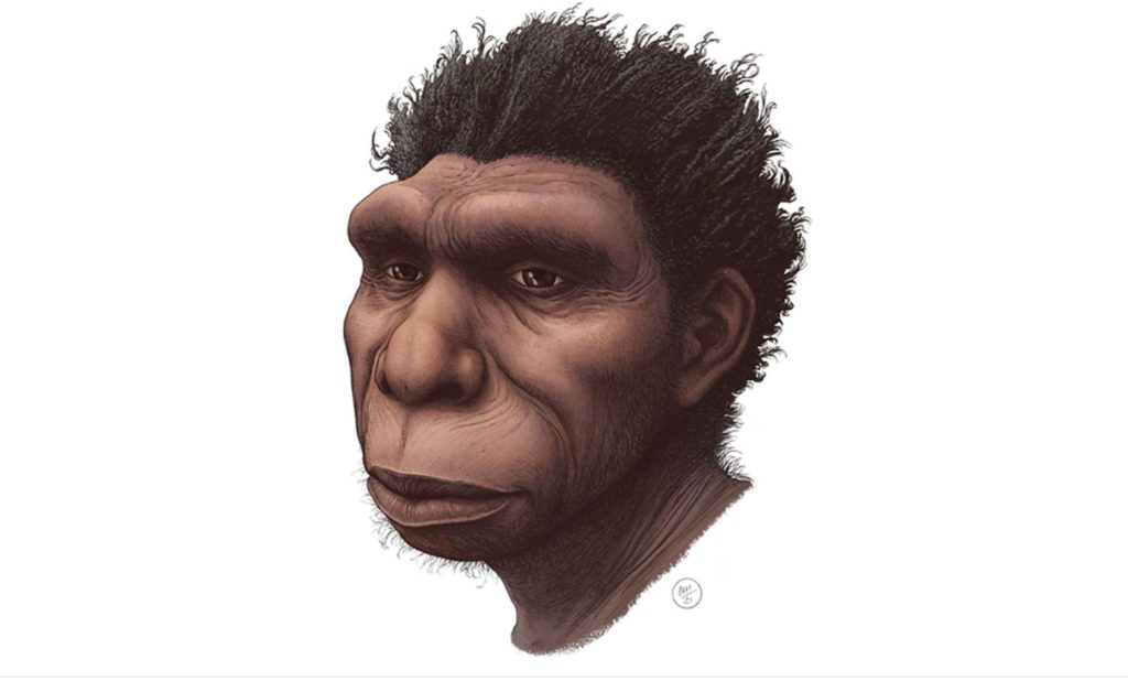 Ανακαλύφθηκε νέος πρόγονος του ανθρώπου – Ζούσε στην Αφρική πριν 500.000 χρόνια