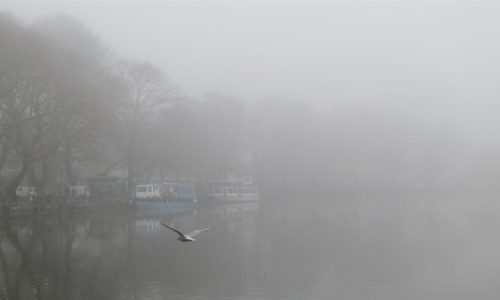 Πυκνή ομίχλη καλύπτει τα Γιάννινα