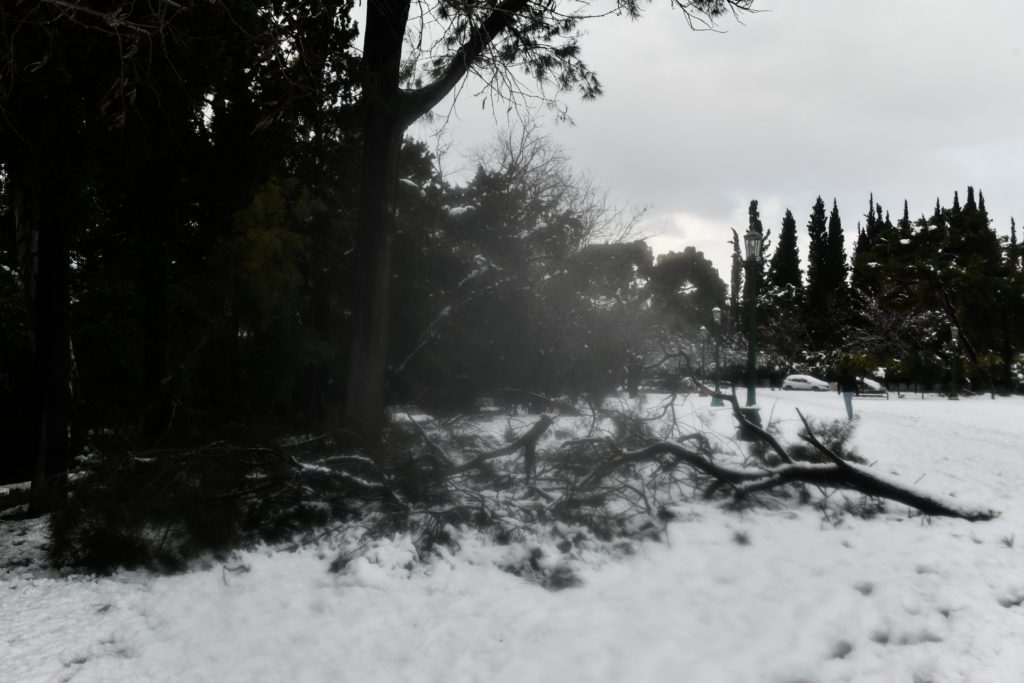 Κακοκαιρία «Ελπίδα»: Συνεχίζεται η ταλαιπωρία – Χωρίς ρεύμα για 36 ώρες στην Παιανία