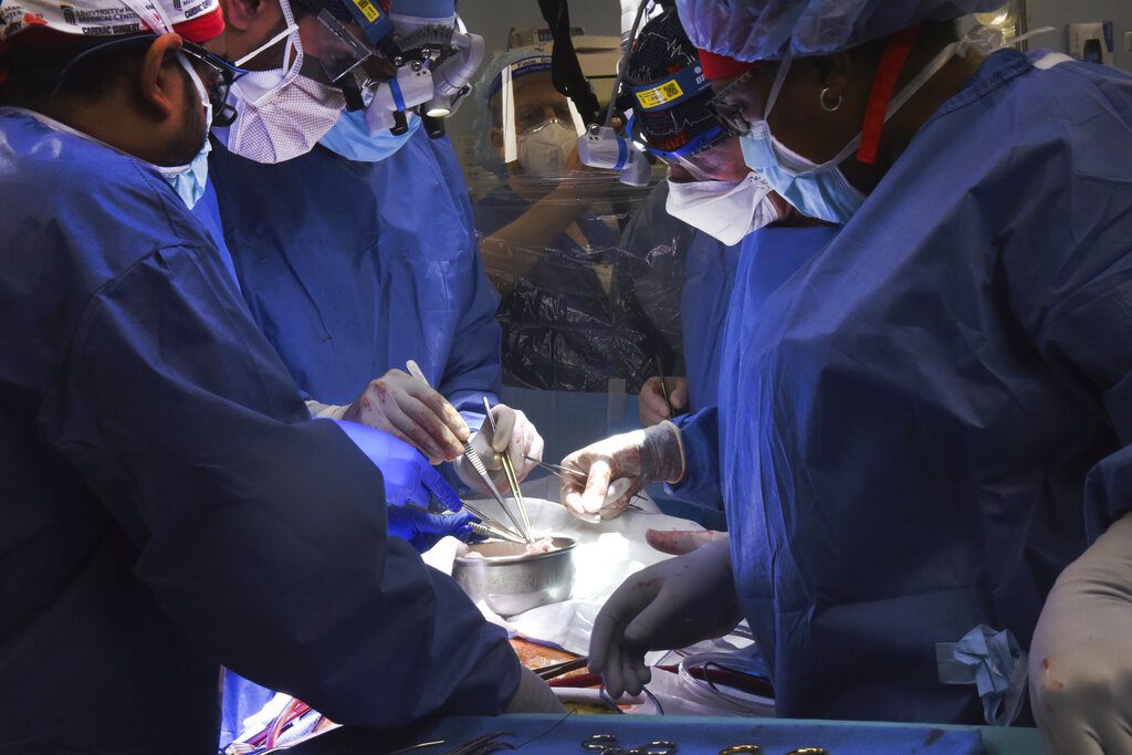 ΗΠΑ: Πρωτοποριακή μεταμόσχευση καρδιάς από γενετικά τροποποιημένο χοίρο σε άνθρωπο (Photos)