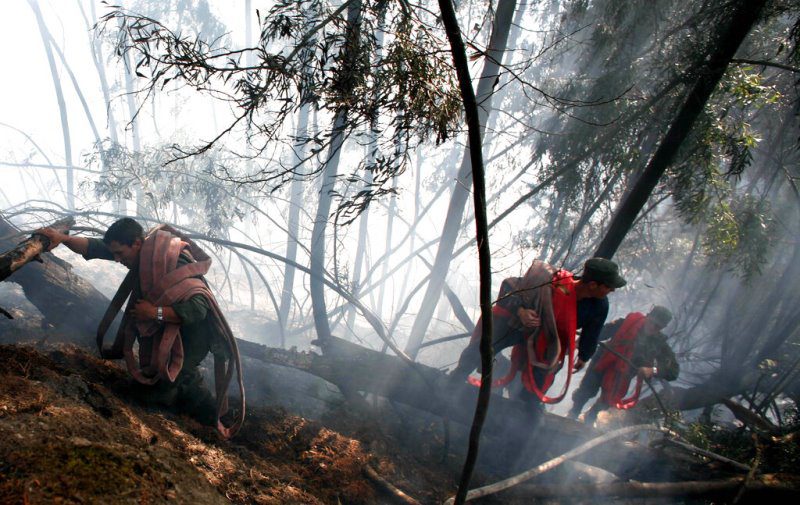 Κολομβία – Συναγερμός: Νέες πυρκαγιές στον Αμαζόνιο