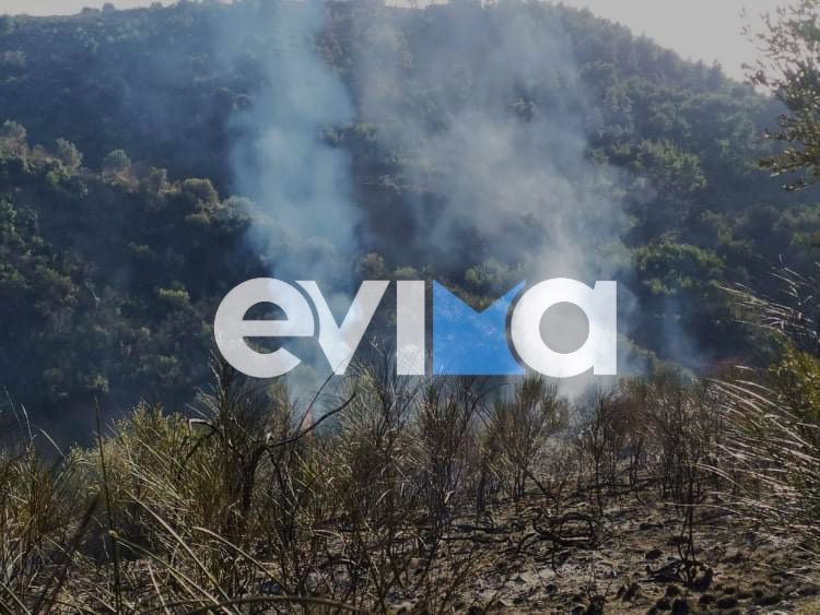 Φωτιά τώρα σε δασική έκταση στην Εύβοια