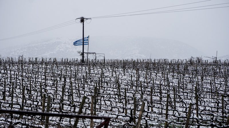 Θεσσαλία: Συστάσεις σε αγρότες – κτηνοτρόφους ενόψει ισχυρού παγετού