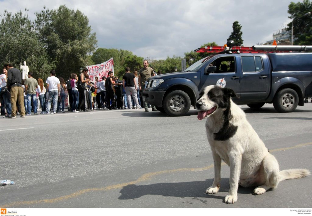 Αναστάτωση στους φοιτητές για κατάργηση και μεταφορά σχολών από την Σίνδο στις Σέρρες