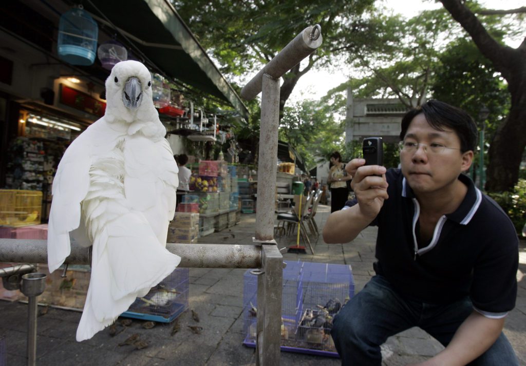 Το πρώτο κρούσμα γρίπης των πτηνών του στελέχους H3N8 κατέγραψε η Κίνα