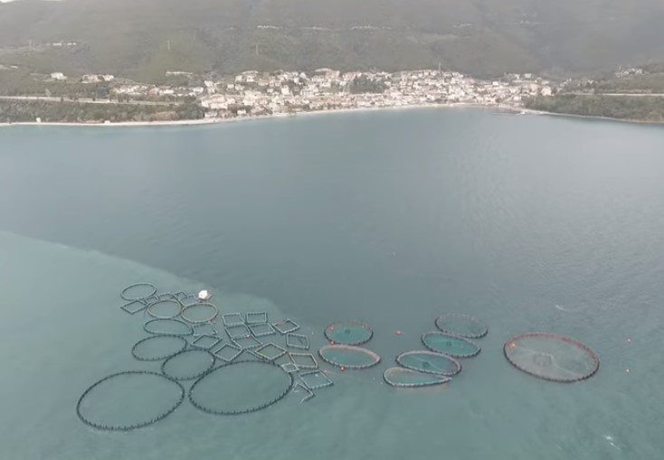 Κλωβοί ιχθυοτροφικής μονάδας παρασύρθηκαν από ανέμους και «βολτάρουν» στον Αμβρακικό (video)