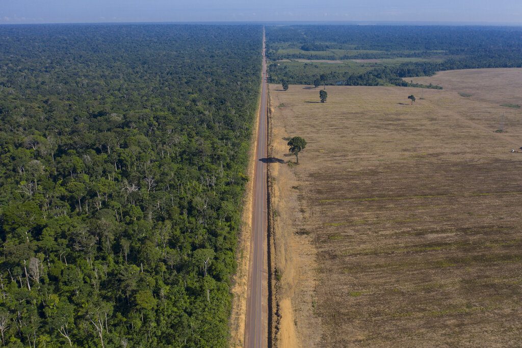 Βραζιλία: Η αποψίλωση του δάσους του Αμαζονίου έσπασε ρεκόρ το πρώτο τρίμηνο
