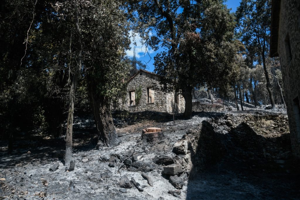 Τατόι: Ευθύνες για τα διαφυγόντα δισεκατομμύρια 