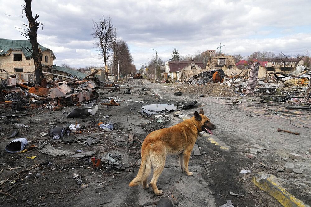 Εφιάλτης δίχως τέλος στην Ουκρανία: Παγκόσμια κατακραυγή για την Μπούχα – Άμαχοι νεκροί στη Μικολάγιφ- Στον ΟΗΕ μιλάει ο Ζελένσκι