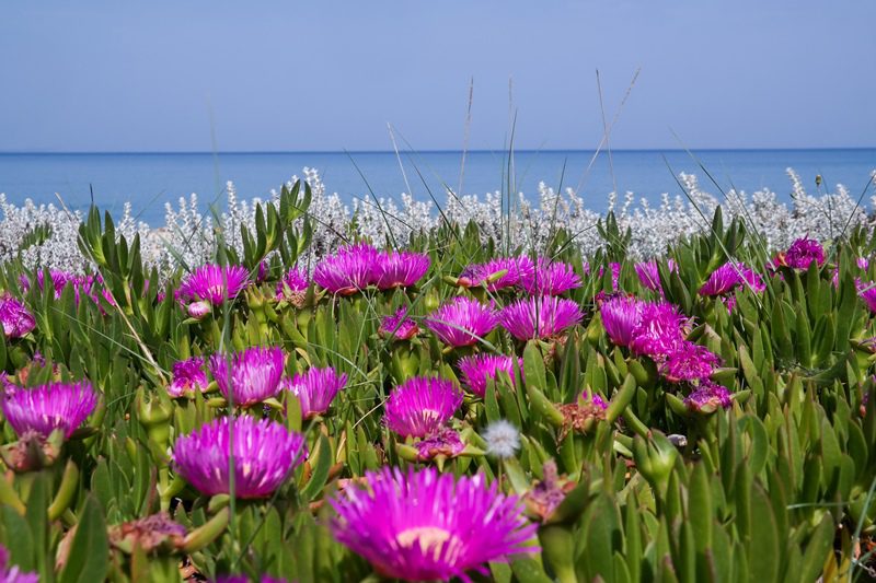 Πάσχα με λιακάδα και άνοδο της θερμοκρασίας