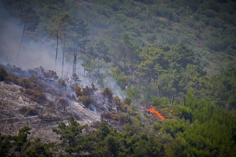 Νέα πυρκαγιά σε χορτολιβαδική έκταση στον Κουβαρά Αττικής