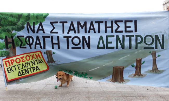 ΔΕΝΤΡΑ ΑΘΗΝΑ ΚΛΑΔΕΜΑ