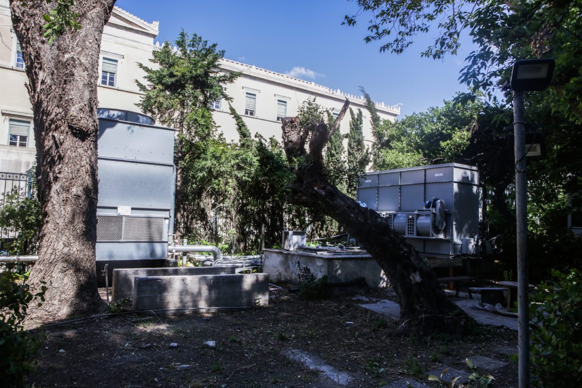 εθνικός Κήπος