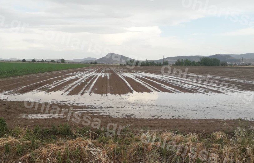 Νεροποντή και χαλάζι ισοπέδωσαν χιλιάδες στρέμματα στα Φάρσαλα (εικόνες)