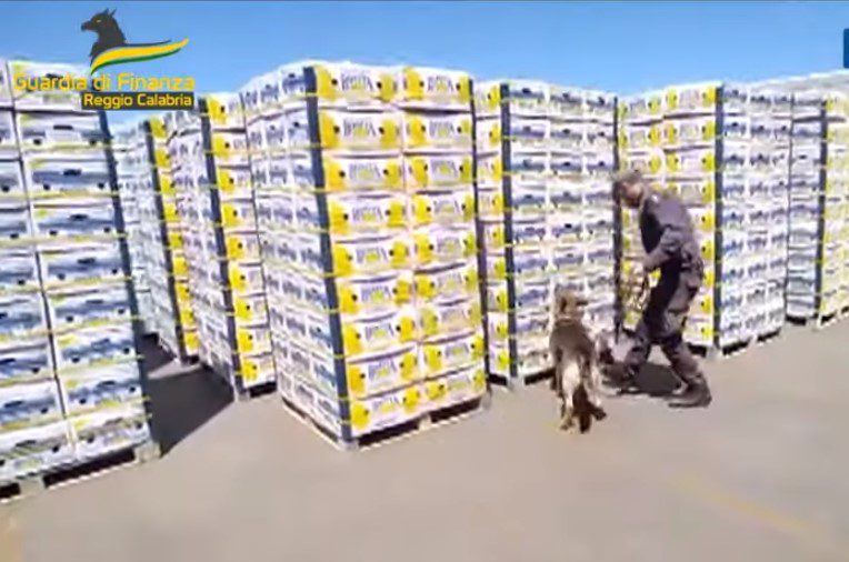 Ιταλία: Έκρυβαν 654 κιλά κοκαΐνη σε μπανάνες που προορίζονταν για τη Θεσσαλονίκη (video)