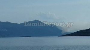 Πυρκαγιά σε δυο διαφορετικά σημεία στην Ιστιαία Εύβοιας &#8211; Σηκώθηκαν επτά αεροσκάφη
