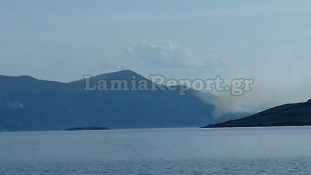 Πυρκαγιά σε δυο διαφορετικά σημεία στην Ιστιαία Εύβοιας – Σηκώθηκαν επτά αεροσκάφη