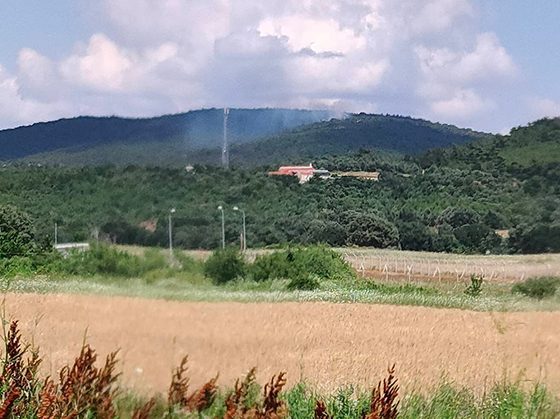 Φωτιά σε δασική έκταση στην Αλεξανδρούπολη – Κινητοποιήθηκαν εναέριες δυνάμεις