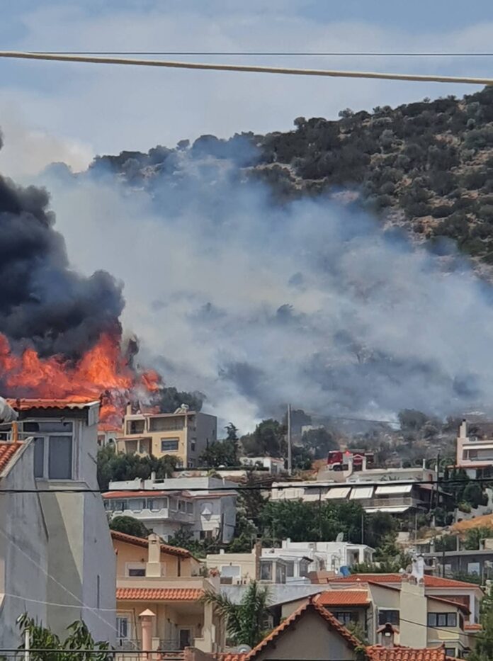 Φωτιά στη Λούτσα κοντά σε σπίτια – Επί τόπου και εναέριες δυνάμεις της Πυροσβεστικής