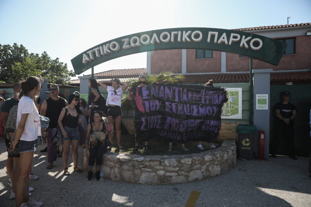 Τον πλήρη έλεγχο των συνθηκών διαβίωσης στο Αττικό Ζωολογικό Πάρκο ζητούν 36 βουλευτές του ΣΥΡΙΖΑ-ΠΣ