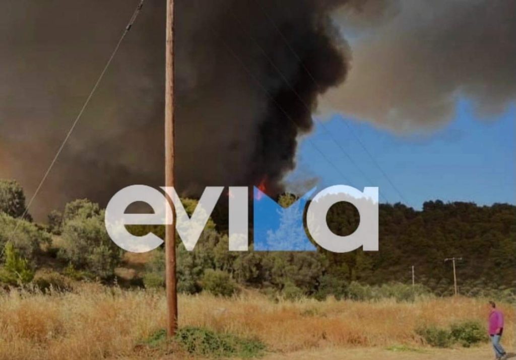 Ενισχύονται οι δυνάμεις που επιχειρούν στην πυρκαγιά σε χορτολιβαδική έκταση στην Γαία Ευβοίας