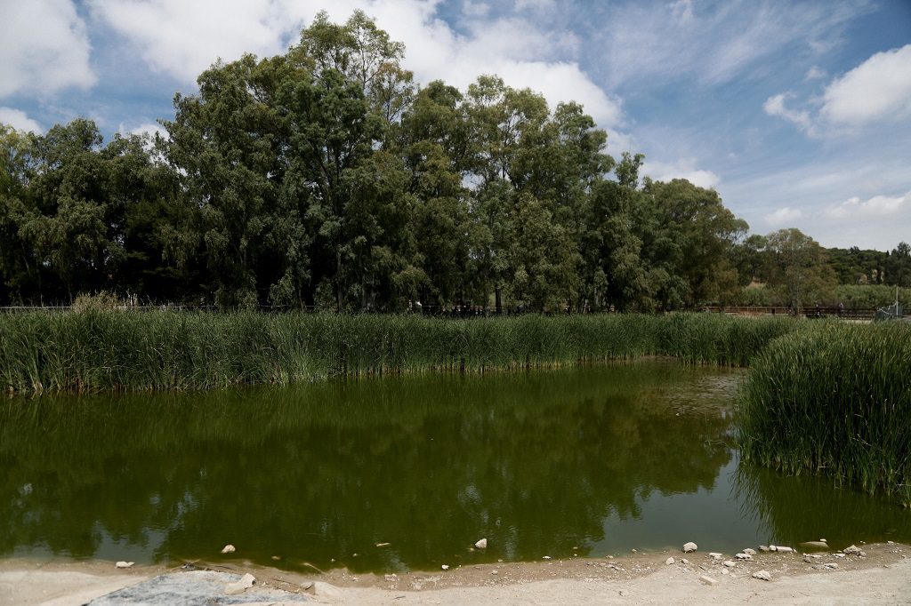 Σταθερές επιλογές Πατούλη η αδιαφορία και η εγκατάλειψη του πάρκου Τρίτση