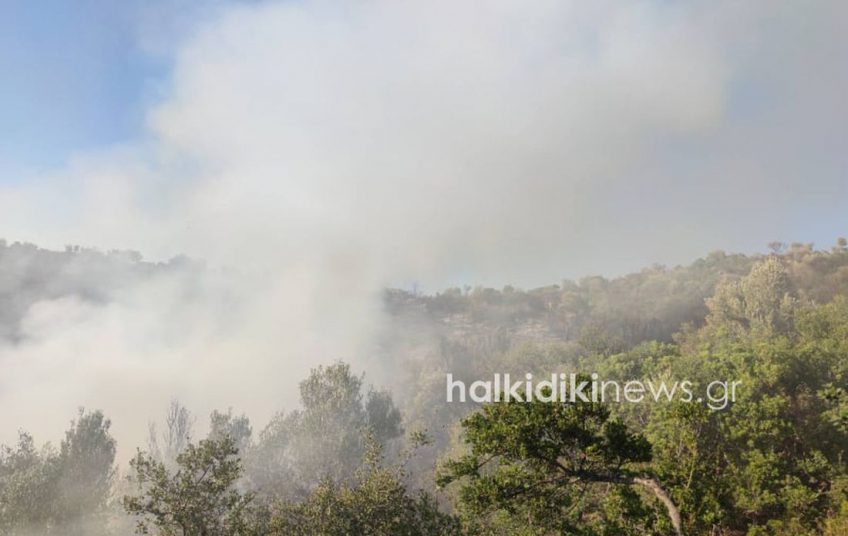 Αγιο Όρος: Σε δύο μέτωπα μαίνεται η πυρκαγιά, «έπεσαν» οι άνεμοι