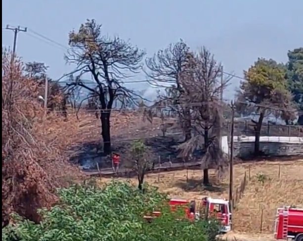 Αγιος Στέφανος: Πυρκαγιά ξέσπασε σε χαμηλή βλάστηση (Video)