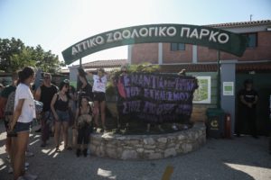Αττικό Ζωολογικό Πάρκο: Συγκέντρωση διαμαρτυρίας για τη θανάτωση του χιμπατζή (Photos)
