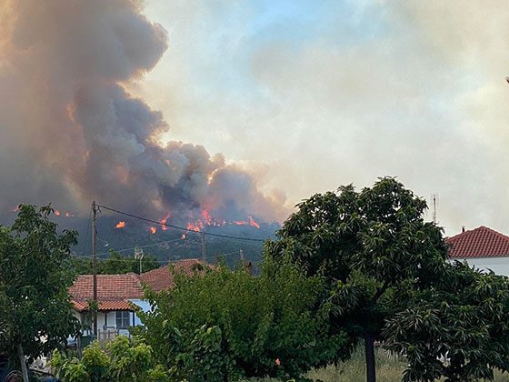 «Απαιτείται άμεση αναβάθμιση της επιχειρησιακής επάρκειας και των μέσων για την κατάσβεση της πυρκαγιάς στη Δαδιά»