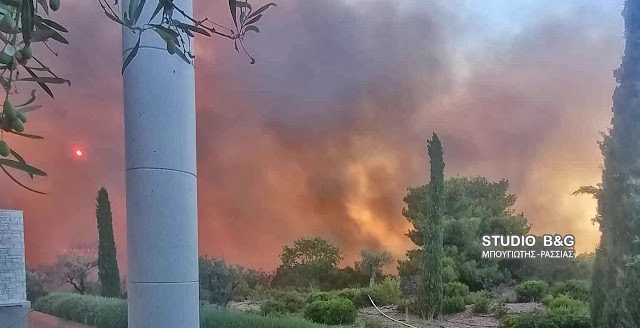 Συναγερμός στην πυροσβεστικη: Μεγάλη πυρκαγιά στο Κρανίδι Αργολίδας – Ζημιές στο ξενοδοχείο Amanzoe