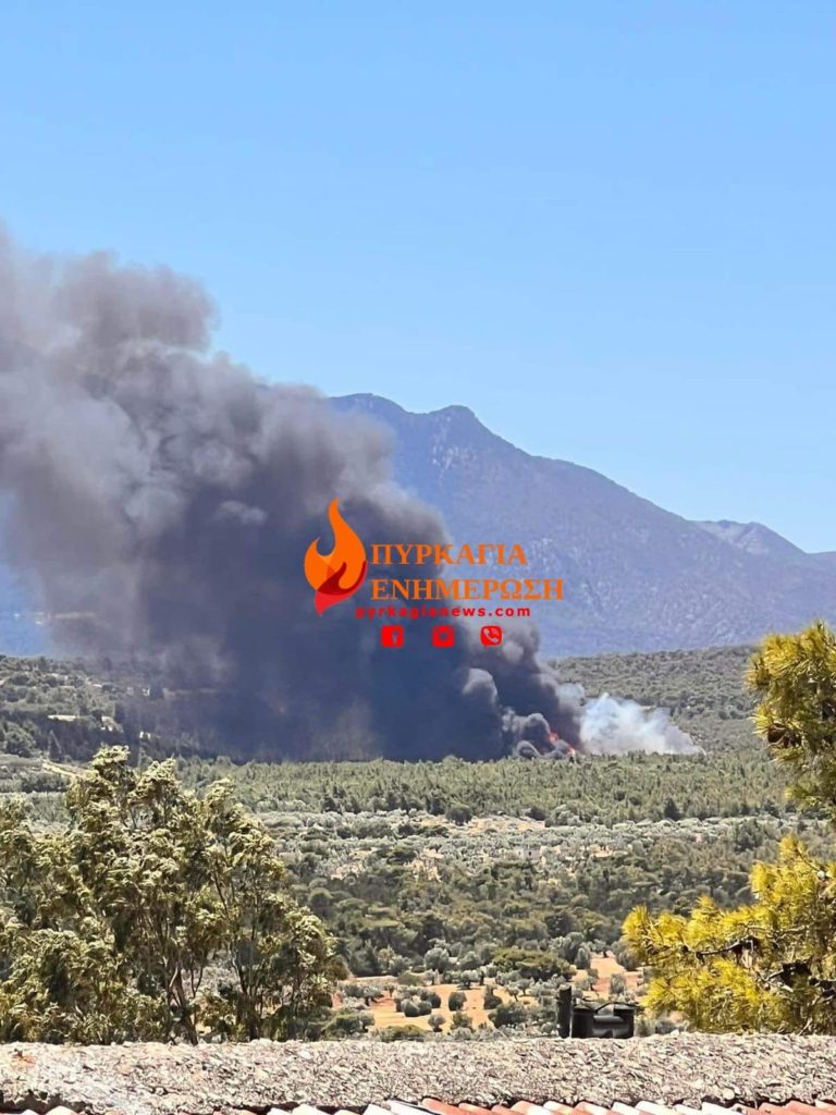 Πύρινος εφιάλτης στα Μέγαρα: Οι φλόγες καίνε σπίτια σε Αλεποχώρι και Παπαγιαννέικα (Video)