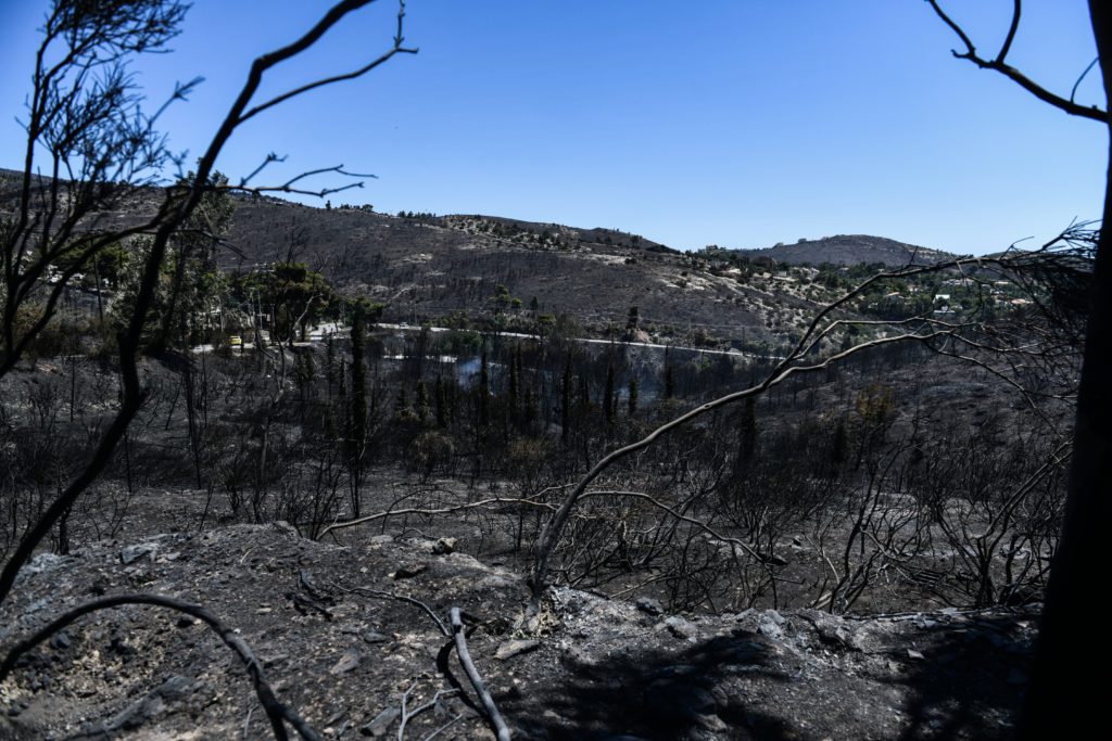 Σε ύφεση η πυρκαγιά στην Πεντέλη: Ένας νεκρός και δεκάδες περιουσίες έγιναν στάχτη – Φόβοι για αναζωπυρώσεις (Photos)