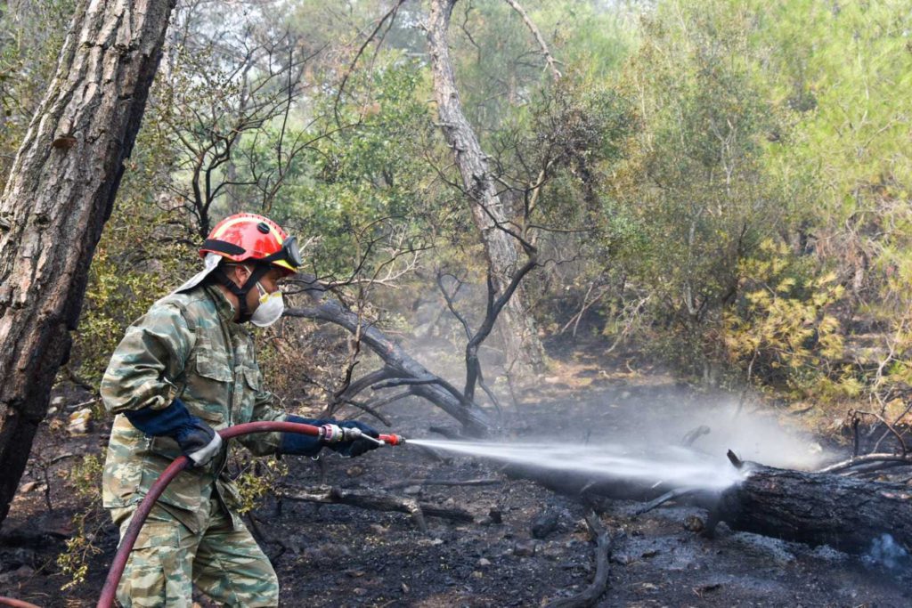 Για πέμπτη ημέρα μαίνεται η πυρκαγιά στο Εθνικό Πάρκο Δαδιάς – Βρέχει στον Έβρο- Μεγάλη οικολογική καταστροφή