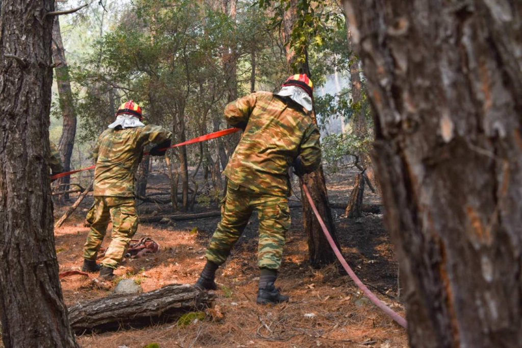 Δαδιά: Συνεχίζεται η «μάχη» στο νοτιοδυτικό τμήμα – Η φωτιά πέρασε το πυροφυλάκιο της Λευκίμμης