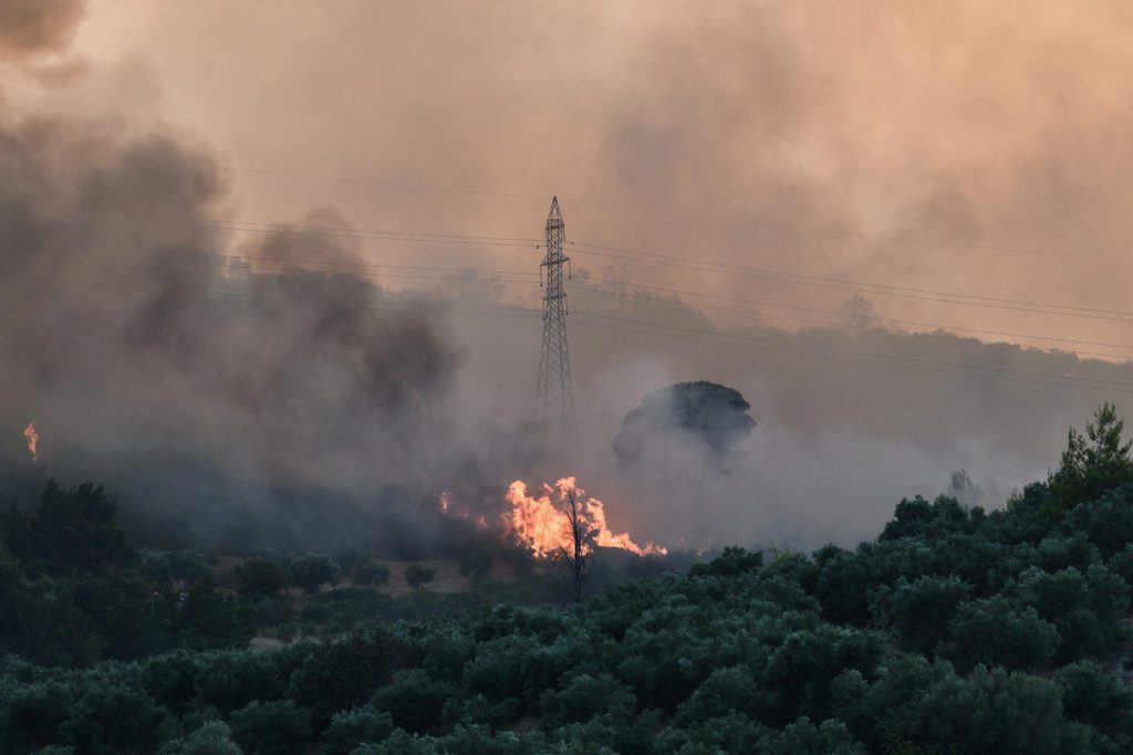 Φωτιά σε δασική έκταση στη Μορτιά Μαγνησίας – Σπεύδουν εναέριες δυνάμεις της Πυροσβεστικής