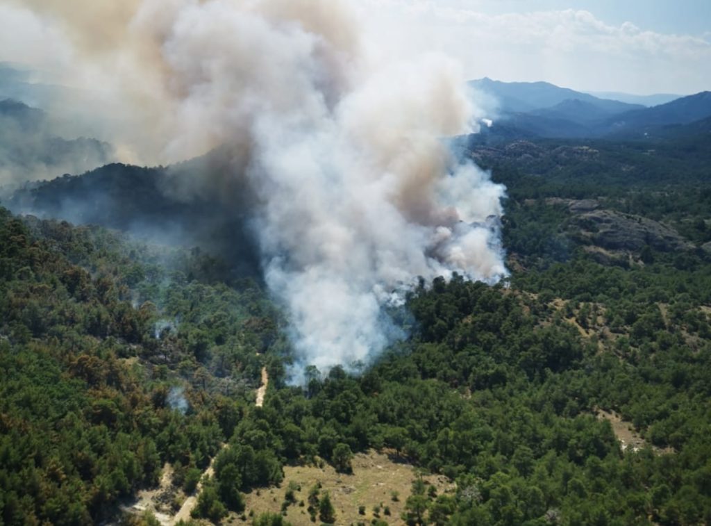 Εβρος: Μαίνεται για τρίτη ημέρα η φωτιά στο δάσος της Δαδιάς – Απειλή μεγάλης οικολογικής καταστροφής