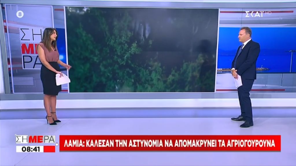 On air «χοντράδα» Οικονόμου: «Πάλι σε εμάς τους κυνηγούς θα προσφύγουν για τα αγριογούρουνα»  (Video)