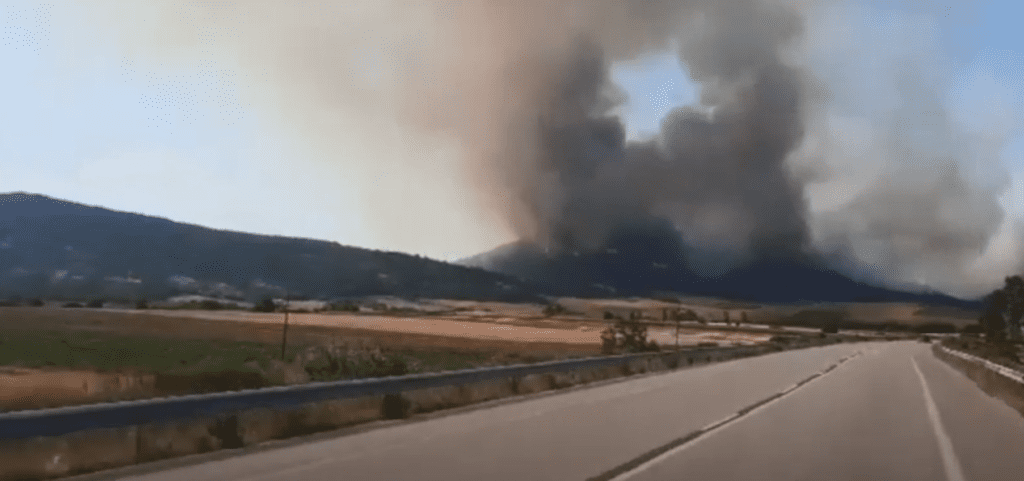 Φωτιά στον Έβρο: Ξεπερνά το ένα χιλιόμετρο το πύρινο μέτωπο- Στο Δάσος της Δαδιάς οι φλόγες (Video)