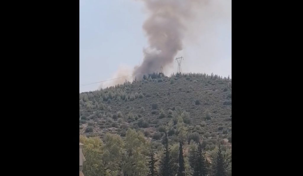 Φωτιά σε δασική έκταση στο Χαϊδάρι: Ενισχύθηκαν οι δυνάμεις της Πυροσβεστικής (Video)