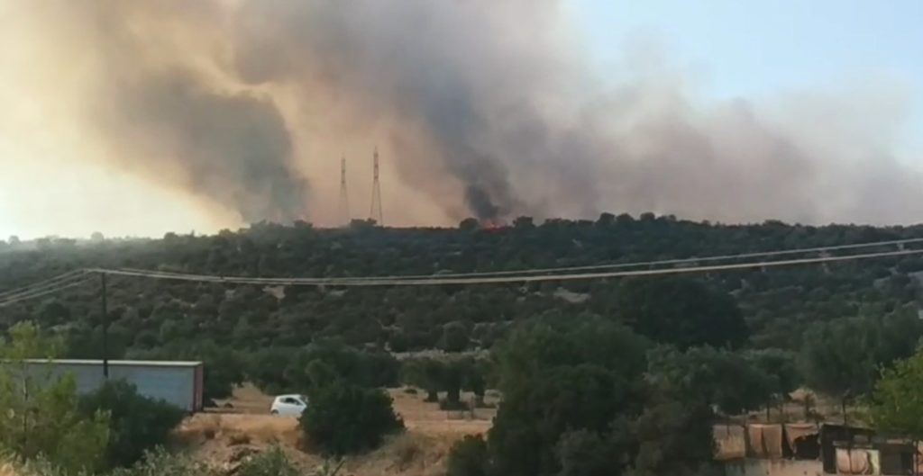 Φωτιά στη Μάνδρα: Χωρίς ενεργό μέτωπο – Νωρίτερα εκκενώθηκαν δύο οικισμοί