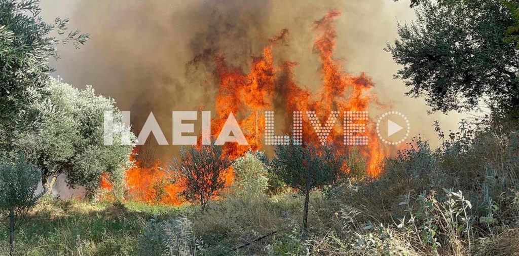 Ηλεία: Χωρίς ενεργό μέτωπο οι πυρκαγιές σε Τραγανό και Βάρδα