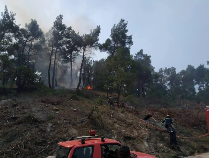 Αλεξανδρούπολη: Εκτροπή της κυκλοφορίας των οχημάτων στο ύψος του κόμβου Λύρας-Λαγυνών λόγω της εξάπλωσης της πυρκαγιάς