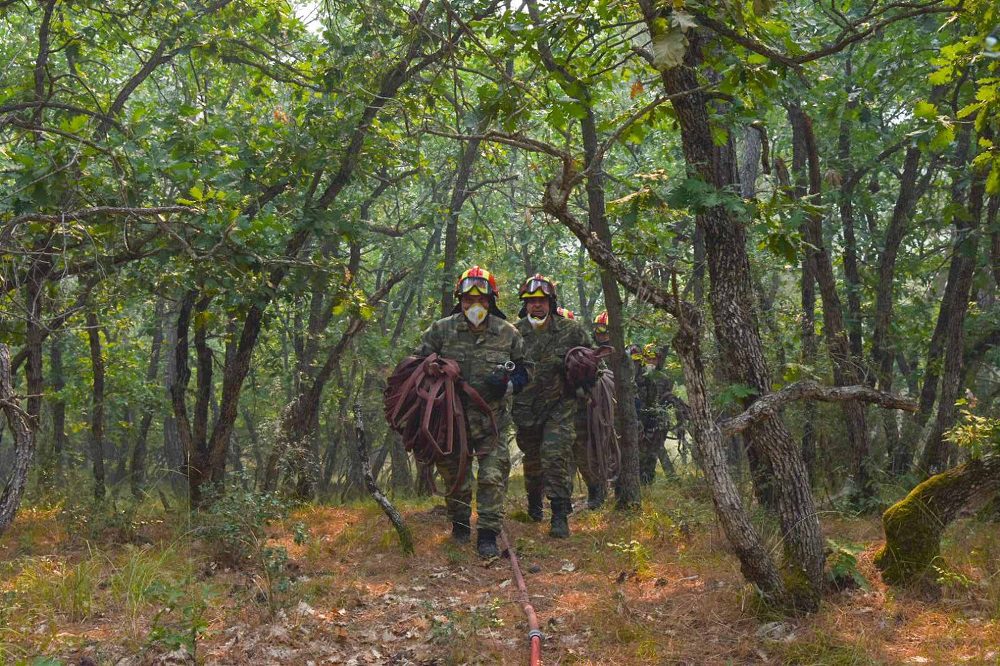 Δασαρχείο Σουφλίου: Μόνο 4 δασοφύλακες για ευθύνη περιοχής 200.000 στρεμμάτων