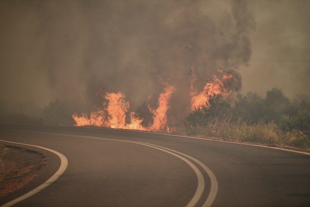 Νέα φωτιά στον δήμο Ανδρίτσαινας – Κρεστένων