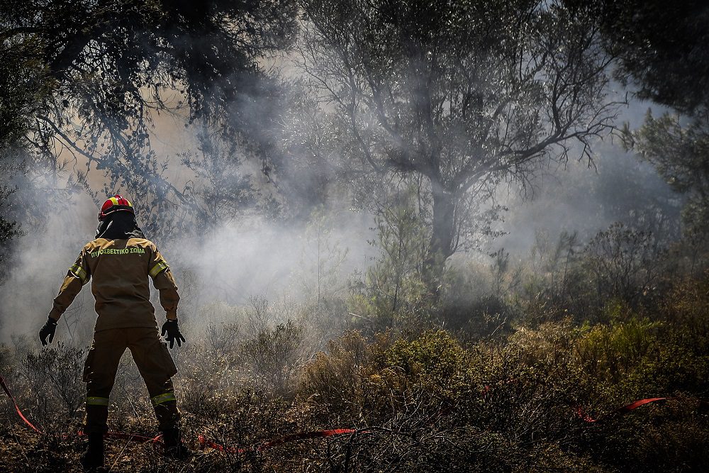 Πυρκαγιές: Καλύτερη η εικόνα από τα μέτωπα σε Ηλεία και Κορινθία